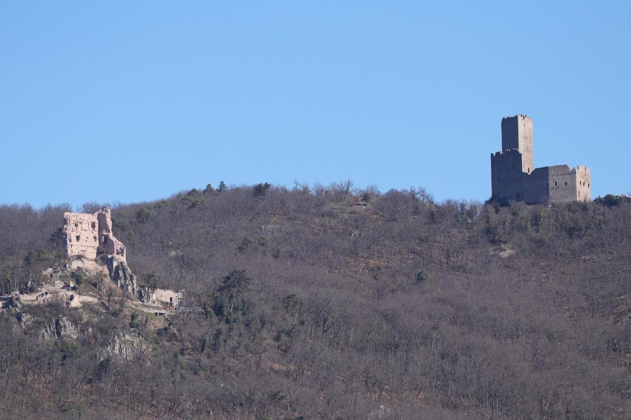 Aux Souvenirs D'Anaelle Gites 5 Personnes Sainte-Marie-aux-Mines Ngoại thất bức ảnh